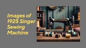 Read more about the article Images of 1925 Singer Sewing Machine: A Visual Guide to Vintage Craftsmanship